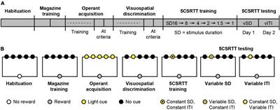 Dissociating motor impairment from five-choice serial reaction time task performance in a mouse model of Angelman syndrome